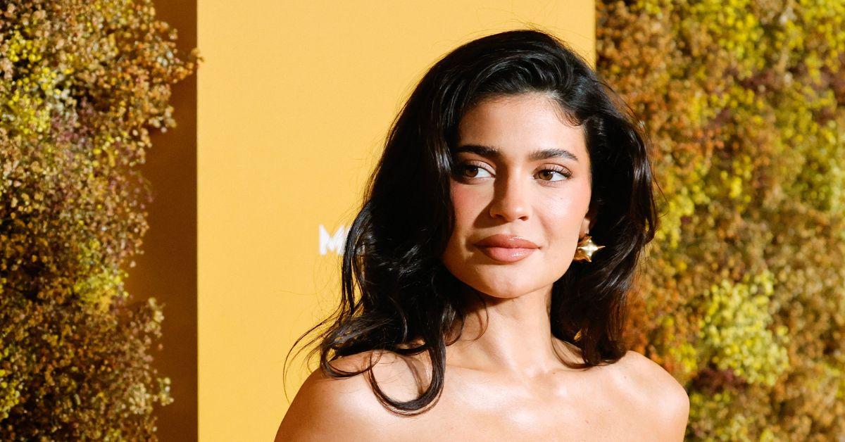 kylie-jenner-blame-kardashians-if-timothee-chalamet-romance-fails-3-1738600873523 kylie jenner blame kardashians if timothee chalamet romance fails