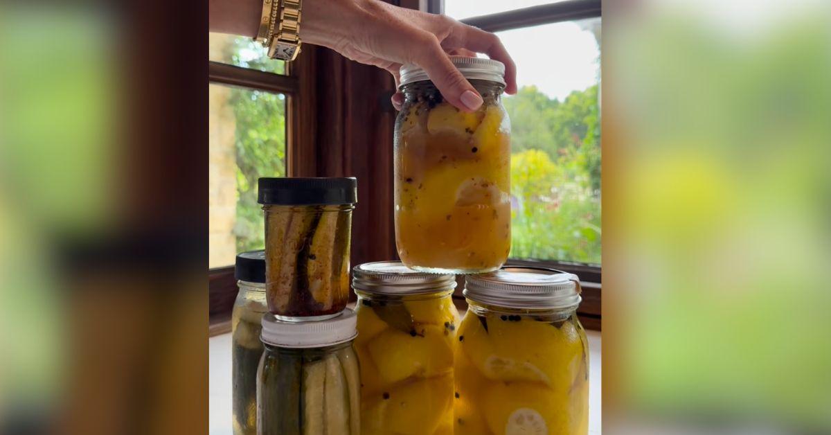 pamela-anderson-meghan-markle-pickles-war-cooking-shows-1755900675241 Photo of Meghan Markle Pickles