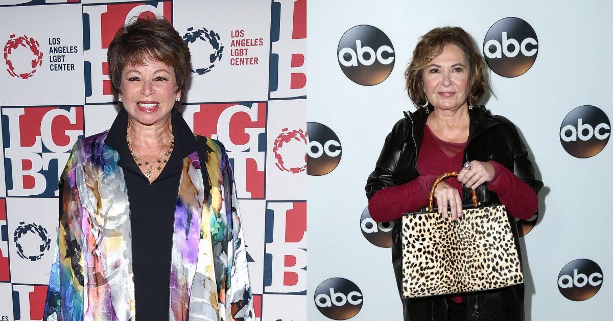 roseanne-barr-comeback-new-show-hollywood-shakeup-1-1740065251116 roseanne barr comeback new show hollywood shakeup
