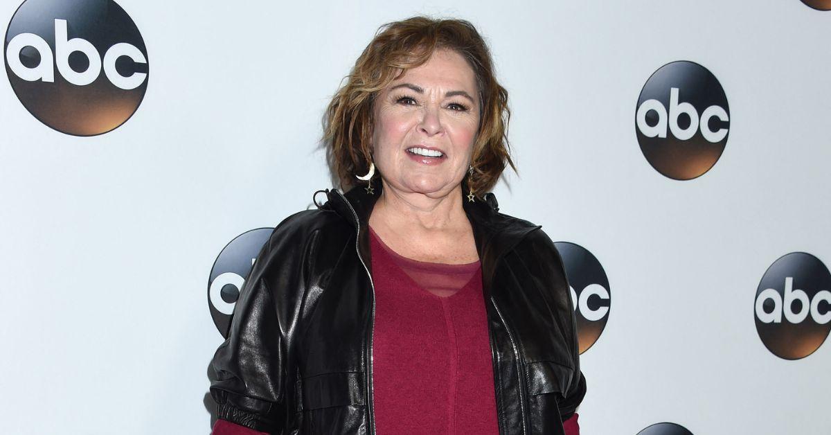 roseanne-barr-comeback-new-show-hollywood-shakeup-4-1740065489292 roseanne barr comeback new show hollywood shakeup
