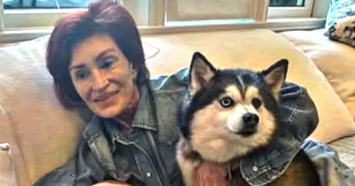 sharon-osbourne-death-fears-explode-as-family-fear-new-tragedy-for-family-could-push-her-into-early-grave-sharon-osbourne-ig-1761151482085 Photo of Sharon Osbourne and Elvis