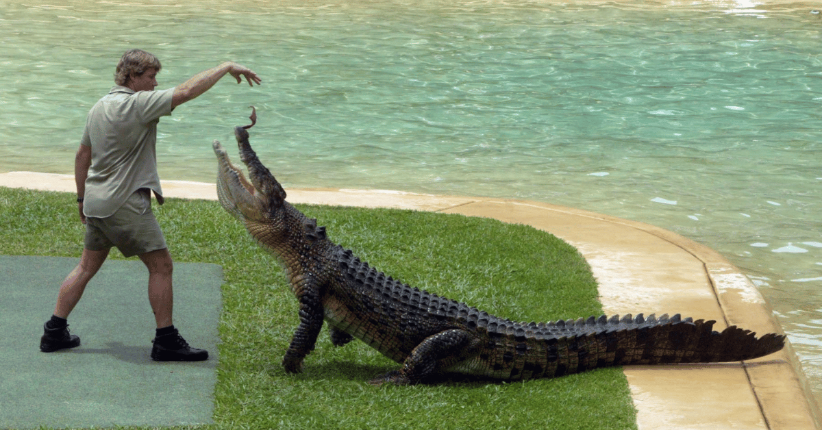 steve-irwin-death-anniversary-wife-terri-irwin-says-you-dont-ever-get-over-grief-1-1757016805050 Photo of Steve Irwin