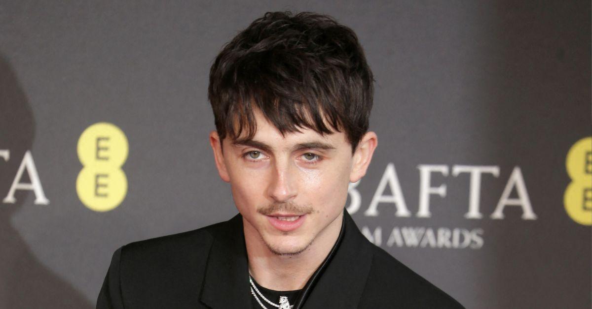 stus-image-templates-1754659883231 picture of Timothée Chalamet