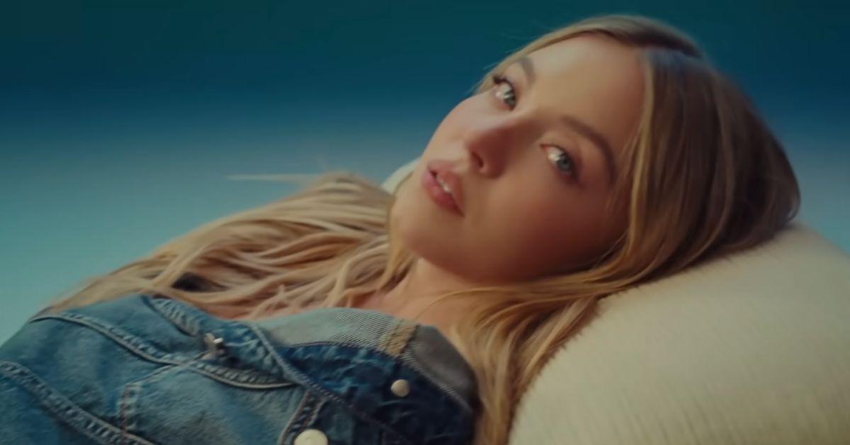 sydney-sweeney3-1757095529666 picture of Sydney Sweeney and American Eagle billboard
