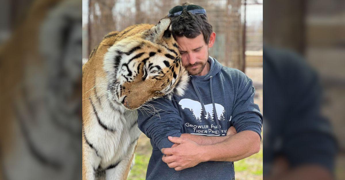 Growler Pines Tiger Reserve expressed sorrow over the fatal incident, calling it a reminder of nature's unpredictability.