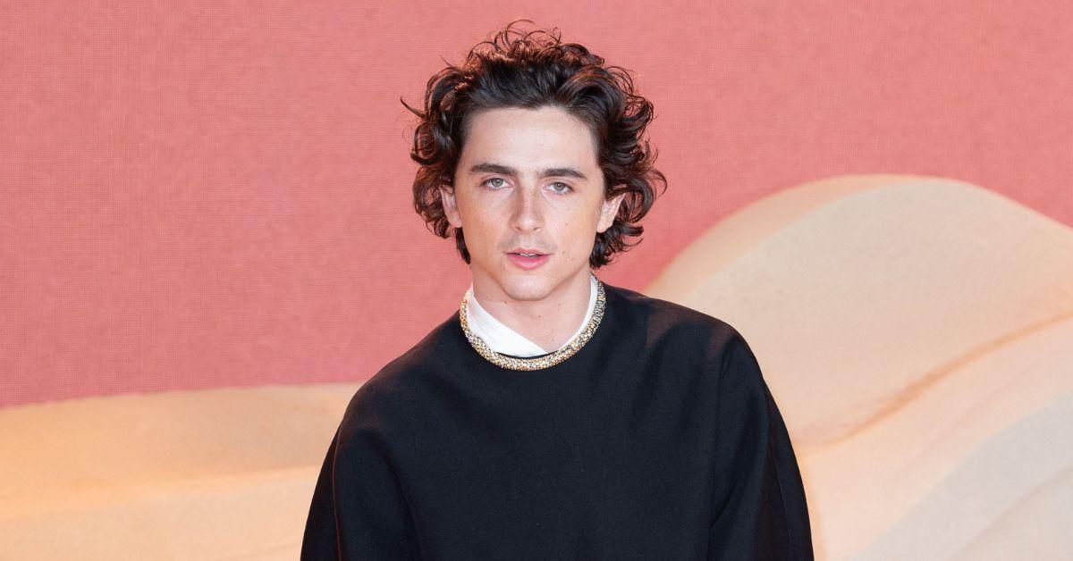 timothee-chalamet-beautiful-boy-1739660678769 timothee chalamet beautiful boy