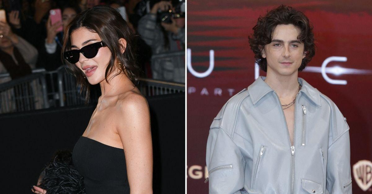 timothee-chalamet-sister-pauline-hates-kylie-jenner-rich-jet-setters-3-1738961857303 timothee chalamet sister pauline hates kylie jenner rich jet setters