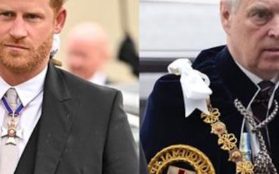 Prince Harry Denies Claims He Punched Prince Andrew Over Comments About Meghan Markle