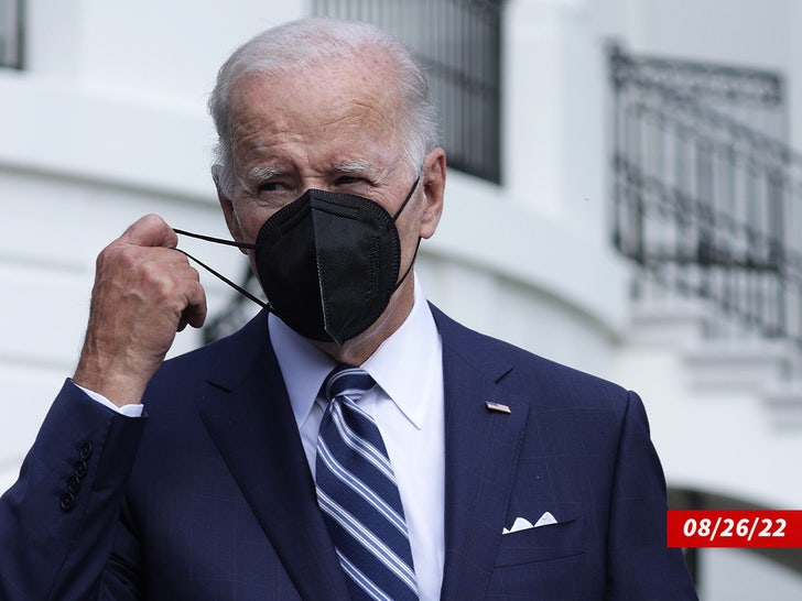 joe biden sub