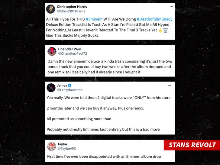 057edcbd406648ad99c304455b4d8c43_md eminem stans revolt