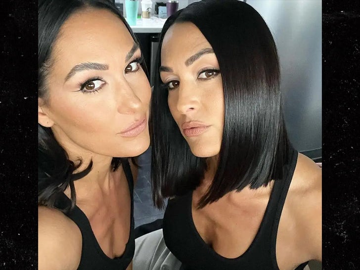 Brie and Nikki Garcia -- Total Hotties