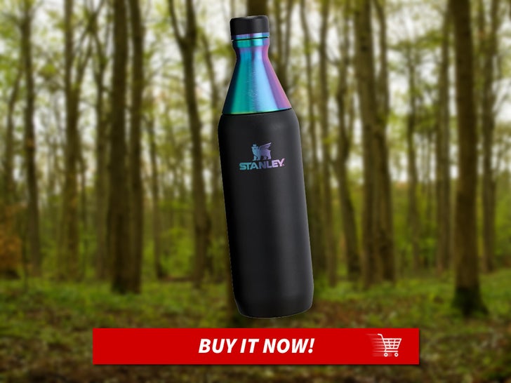0bf2dd66ac1d4642a171b1bd57892881_md STANLEY-All-Day-Slim-Bottle-20-34-OZ-MAIN