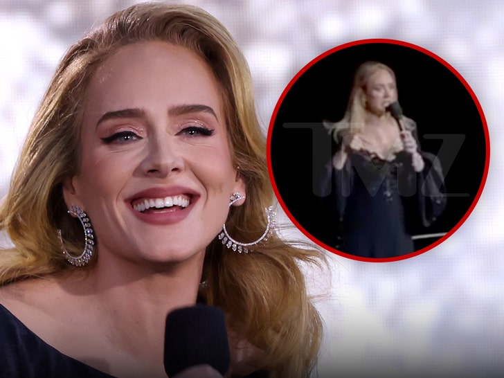 0d36506f9e18494383804c1b53103516_md adele