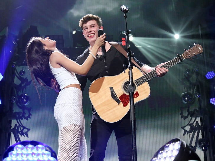 0da79ed1eb3c4b56a3b5fd928140651f_md Shawn Mendes And Camila Cabello Together