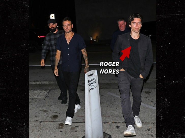 0f89edb92b6249179100f1c7491490cd_md-4 liam payne Roger Nores