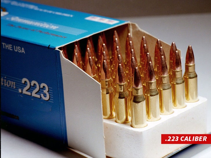 .223 CALIBER sub