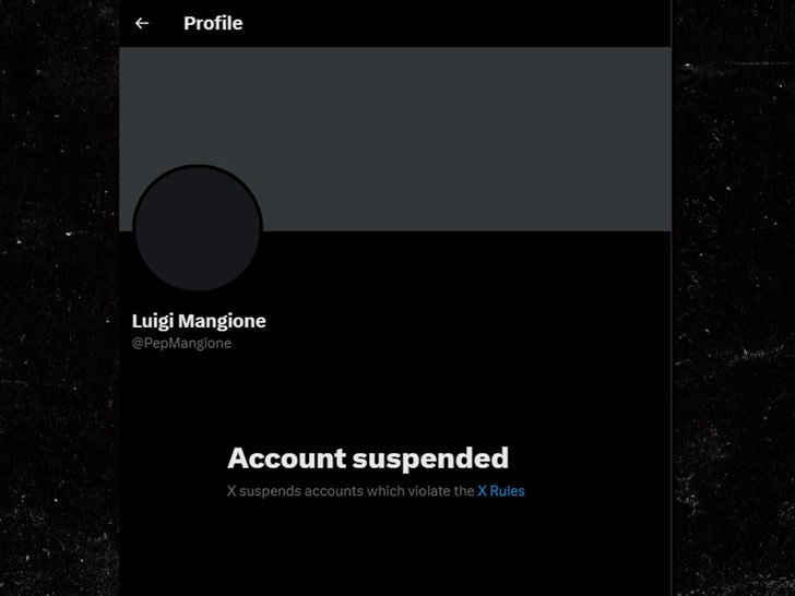 12359b3b69bc4b9d8b7f284c7cc12869_md Luigi Mangione X account deleted
