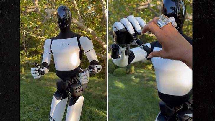 131ab6b3d1f64c5c8790135edf6ba409_md 111824_kim_tesla_kal