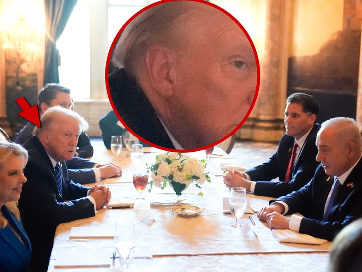 13da94b3d64b4a6b8f50a33c87d069b8_md donald trump NETANYAHU