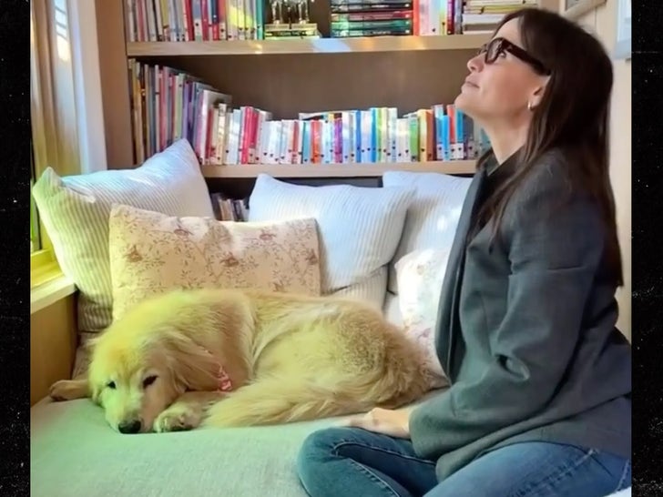 158925e7d4bc44c79e2b2e601e061a26_md 1128 jennifer garner and dog 6