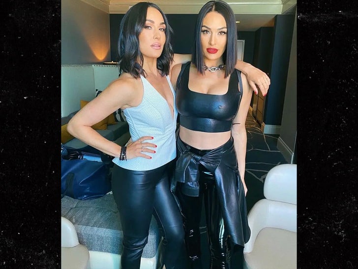 16afa37b1b074fdc8d6ccc79b7288cc0_md 1120-Nikki-Brie-Bella-Hot-Shot-1