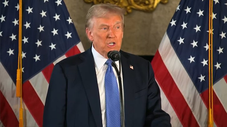 19144f5e5aa043a1851fda5f42dbc228_md-1 121624_donald_trump_luigi_kal