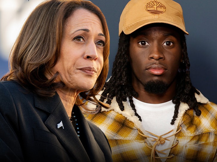 1973ab054b22452483a5920ce4bbdfa6_md kamala harris kai cenat main