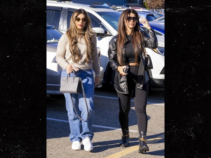 1994e67574044ca78169a227faf53ac6_md 1026 Teresa and Gia Giudice sub backgrid 2