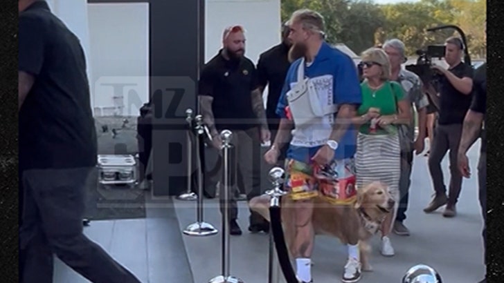 1d94bbe7e57b4c04b7d16cb4e9e117a9_md 111624_jake_paul_afterparty-kal