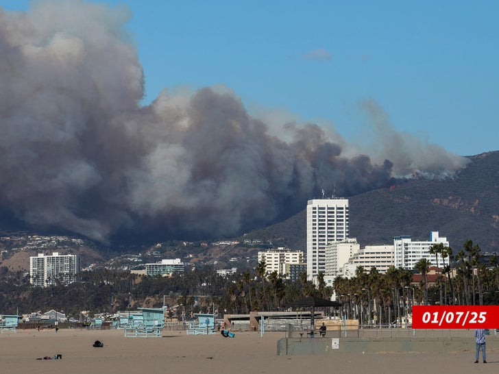 pacific palisades fire