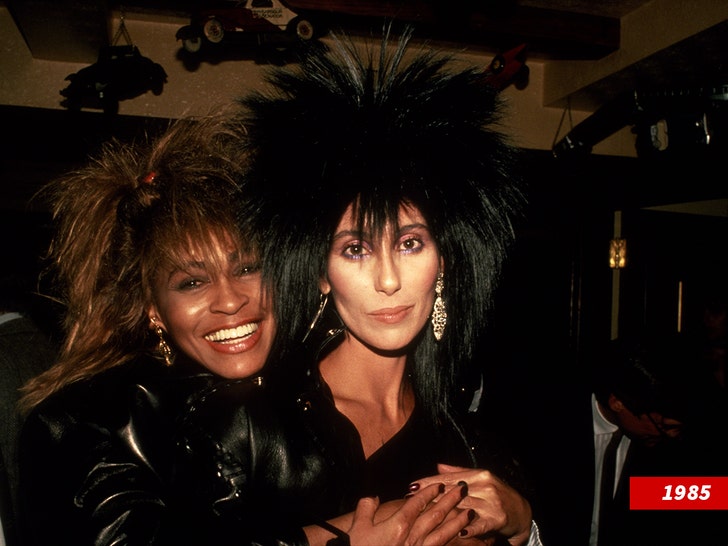22083620532649b887e9f98afe283c5a_md cher and tina turner getty 1