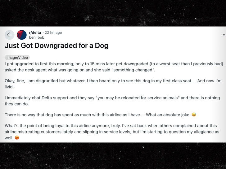 22515ffca4e348a69b921f4c3526f9d6_md Delta Passenger Fumes After Service Dog Allegedly Replaces Him in First Class