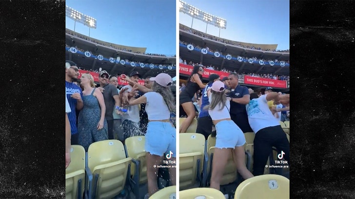 072224-dodgers-fans-fight-kal