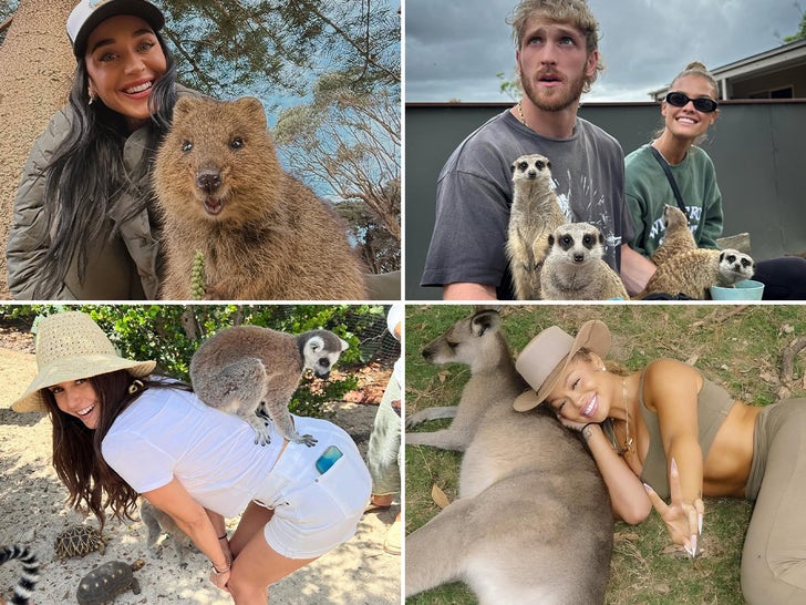Wildin' Out Celebs With Exotic Animals