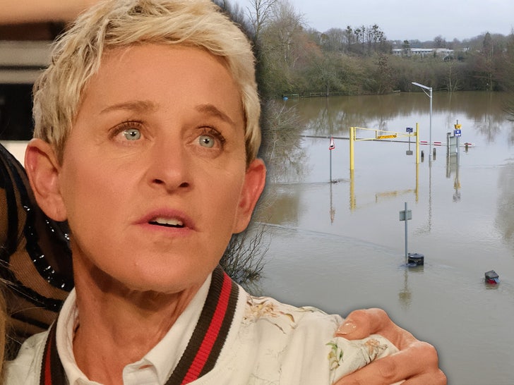 298b26a1969c4143acd3127e37957945_md ellen degeneres flooding home gettty shutterstock composite