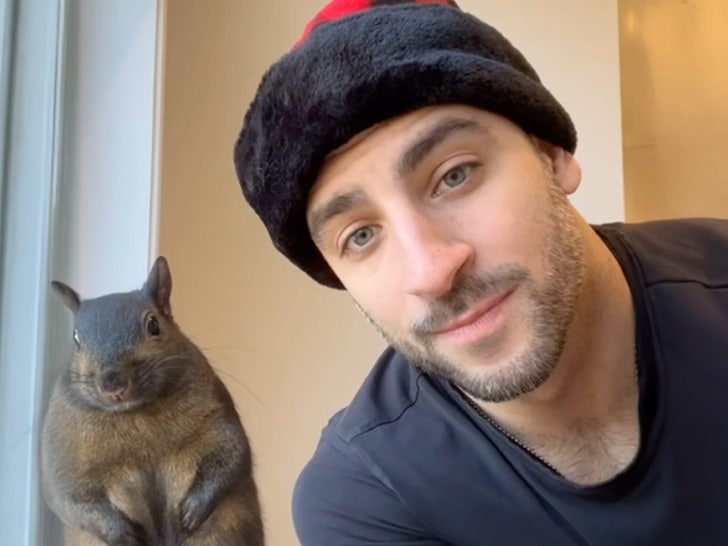 2ac8cd9fe9a9452cb5773d4ed88b80de_md mark longo peanut the squirrel