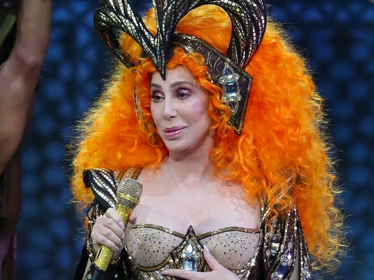 Cher Through The Years