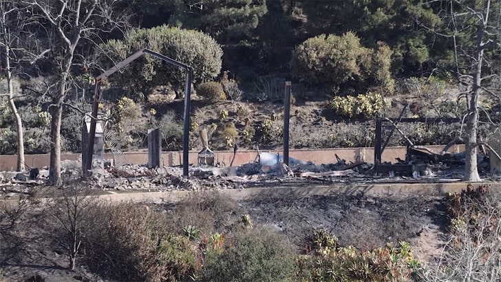 2e0cf2052b104bbf99032b90d8506556_md 011025-mel-gibson-house-kal