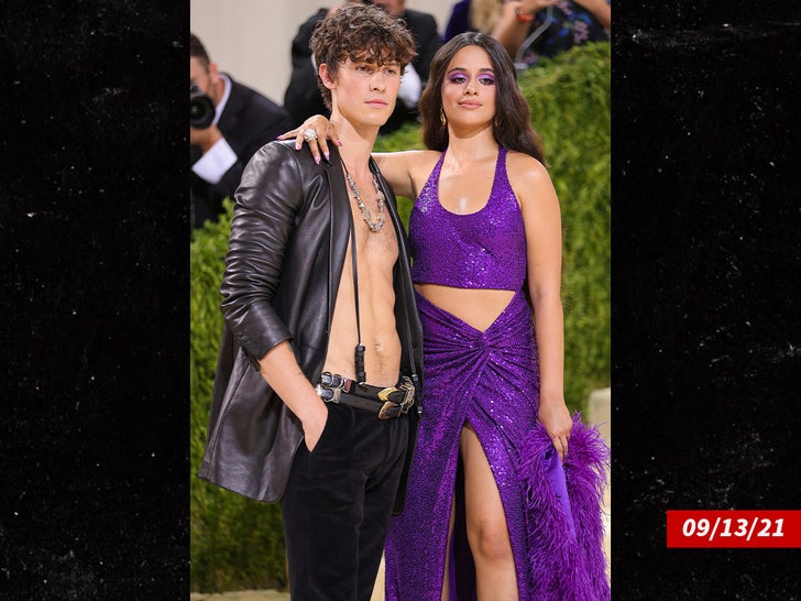 2e5c6fce069147e894979a7d77ee6d24_md-1 shawn mendes camilla cabello sub