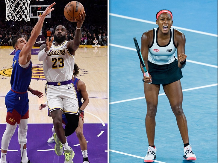 lebron james and coco gauf