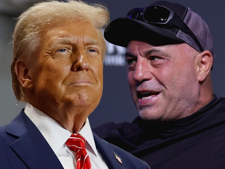 3c75b41727284ebb822e22b7128674ae_md joe rogan donald trump
