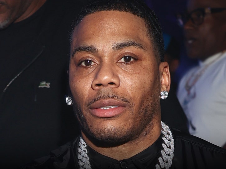 3d5d957e567f41fba7d1c04b02f1c188_md Nelly