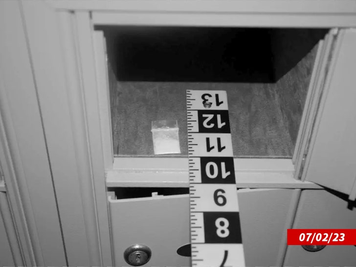 White House Cocaine Evidence Dept of Homeland Security 1