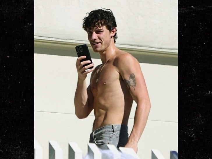 3f4b3da076a64ebd8154f11fb56bd47b_md shawn mendes