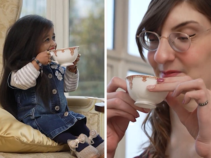 44f936c8401d4258ba46fa70aab1add2_md 112124-tallest-smallest-primary-2