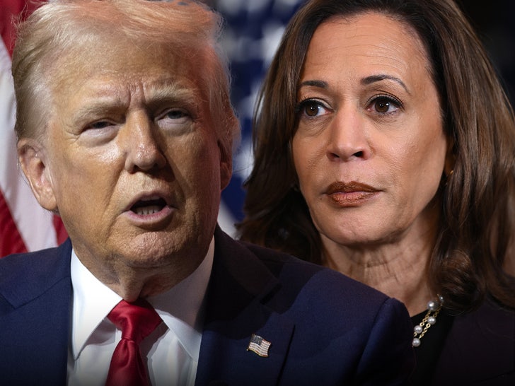 454a3a51ff8d4333bdc447d4b7fa3cb6_md Donald Trump Kamala Harris main