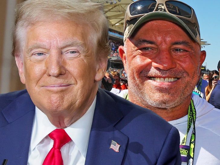 donald trump joe rogan smile
