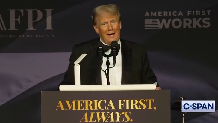 47afd35ec73347fcb6acb3b071ca4a95_md 111524_donald_trump-kal