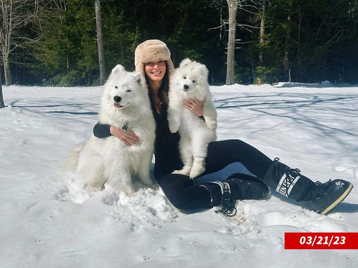4ab7ca123e23428cbc89f1f2576ce256_md kristin juszczyk and dogs insta 2