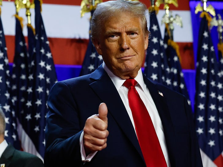 4aef56656f0843f196b5cd1fad91a4a9_md-14 Donald Trump Wins The 2024 Presidential Election